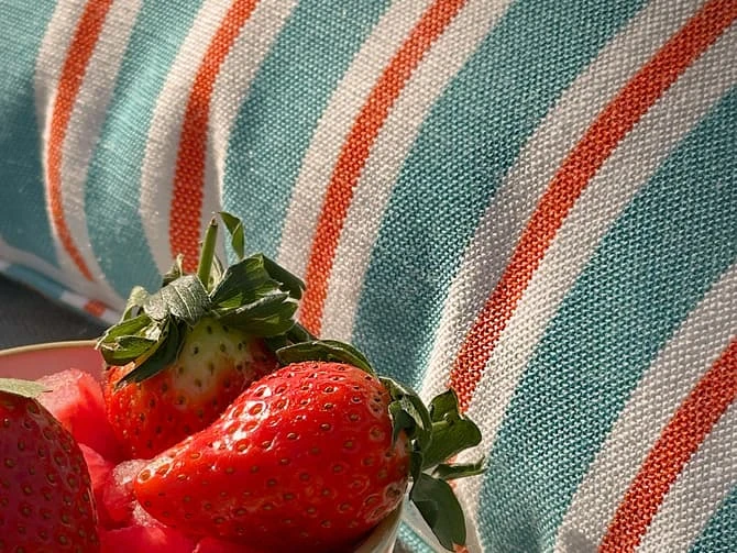 Striped outdoor cushion Striped Outdoor Cushion -Andrew Martin Store 151878 coast turquoise and spritz