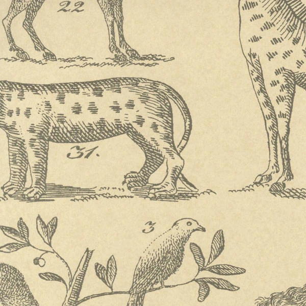 Ark Parchment Wallpaper Ark Parchment Wallpaper -Andrew Martin Store 204994 andrew martin museum wallpapers ark parchment wallpaper