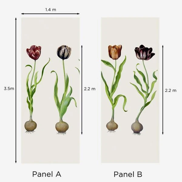 Tulips Wallpaper, Large Panel A + B Tulips Wallpaper, Large Panel A + B -Andrew Martin Store 205044 tulips dimensions