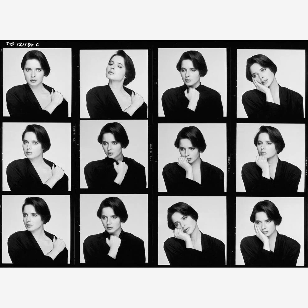 Deep In Thought ~ Isabella Rossellini Photographic Artwork Deep In Thought ~ Isabella Rossellini Photographic Artwork -Andrew Martin Store 315288 deep in thought